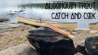 Algonquin Backcountry │ Spring │ Trout Catch and Cook