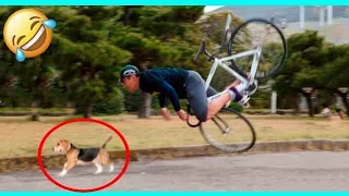 Best Funny Videos Compilation 🤣 - Hilarious People's Life | 😂 Try Not To Laugh - BY SmileCode 🍿#55