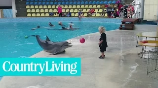 Adorable Toddler Plays Fetch With Playful Dolphin | Country Living
