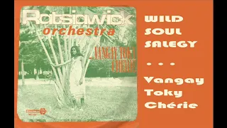 Vangay Toky Chérie - Ratsiawick Orchestra - Discomad 467 001 - 1978