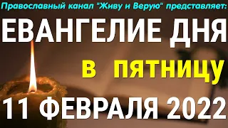 Евангелие дня. 11 февраля 2022. Чтение от Марка