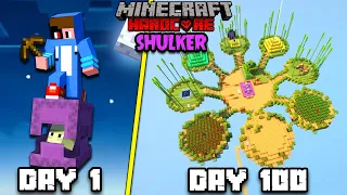 I Survived 100 Days On a SHULKER in Minecraft Hardcore HINDI