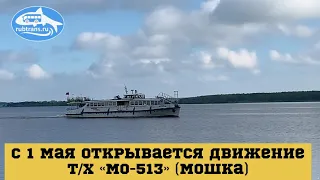 В Рыбинске с 1 мая открывается движение теплохода «МО-513» (Мошка)