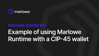 Example of Using Marlowe Runtime with a CIP-45 Wallet