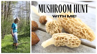 Mushroom Hunting in Ohio 🍄~ Finding Edible Morels ~ Hunt for Mushrooms with me