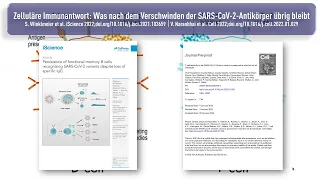 Zelluläre Immunantwort: Was nach dem Verschwinden der SARS-CoV-2-Antikörper übrig bleibt