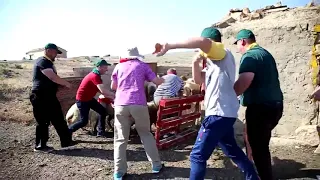 Jeep Tour & Teambuilding in Gobustan