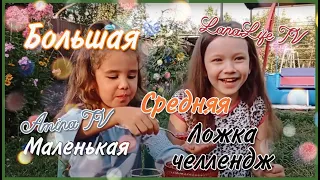 Челлендж БОЛЬШАЯ, СРЕДНЯЯ и МАЛЕНЬКАЯ ложка // Amina TV