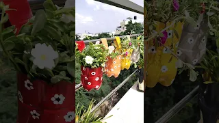 Hanging planter pot making idea using cool drink plastic waste bottles home gardening balcony crafts