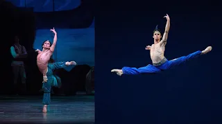 6 ballerinos in Le Corsaire Ali variation | Who is your favourite?