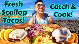 FRESH Scallop Tacos- Catch & Cook Adventure