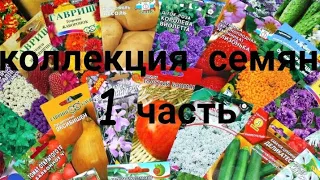 Моя коллекция семян.1000 сортов и видов?