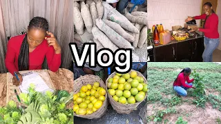 CAN N50,000 ($120, £97) FEED A FAMILY OF FOUR(4) IN NIGERIA 🇳🇬 for a Month ??|| + How I Economize