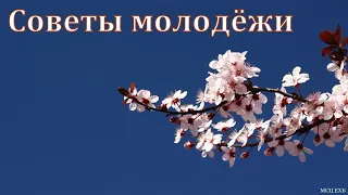 "Советы молодёжи". А. Штайгер. МСЦ ЕХБ