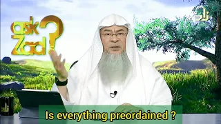 Is everything Pre-ordained, even black magic, evil eye, jinn possession etc? - Assim al hakeem