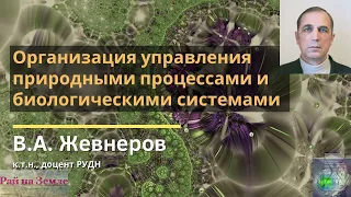 Организация управления природными процессами и биологическими системами-В.Жевнеров-Глобальная волна