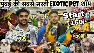 Exotic pet shop in Mumbai | start ₹150/|Dogs|Cat|Birds|cheapest pet market in Mumbai| wajid pet shop