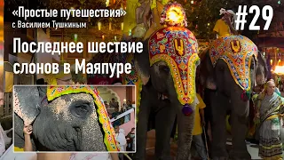 "Простые путешествия" #29 - Последнее шествие слонов в Маяпуре (23 марта 2024)