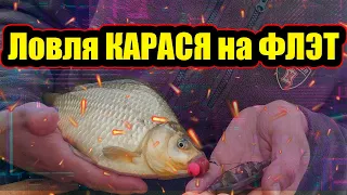 Ловля КРУПНОГО КАРАСЯ НА ФЛЭТ фидер | Рыбалка на дикаре | Осенний ЖОР КРУПНОГО КАРАСЯ