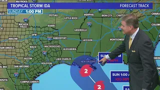 Tropical Storm Ida has formed in the tropics. Where will it make landfall?