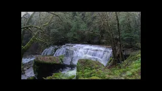 Coquille River Waterfall Quest   4K