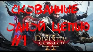 Divine Divinity Original Sin 2 Definitive Edition Прохождение #1