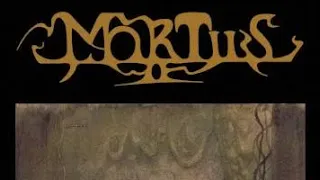 MY MORTIIS COLLECTION