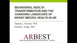 Changing Landscape of Infant Mental Health Treatment Services in Arkansas