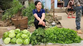 Cabbage Harvest & Coriander Go market sell | Cook pig food | Life in farm.