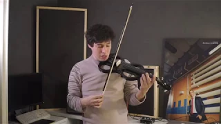 Дешевая скрипка из китая.  LADE IRIN (Irin Electric Violin) #ZLOICONSTABLE