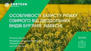 Агропоради від Corteva. Серія 21. Теорія. Особливості захисту ріпаку озимого від бур’янів навесні