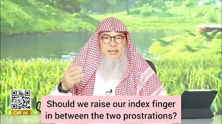 Should we raise our index finger in between the two sujood/ prostrations as well? assim al hakeem