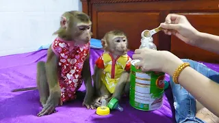 Cute Family Wait Mom Prepare Milk, Mori And Donal Drink Milk