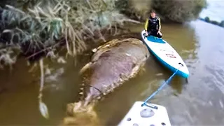 If You See This While Swimming, Get Out of the Water Right Away