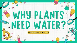 Why do plants need water? | @education.online_frevryone