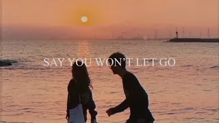 Say you won't let go - james arthur | luciana zogbi cover (lyrics)