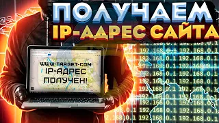 Получаем IP-адрес сайта с помощью Python | Как узнать IP-адрес сайта