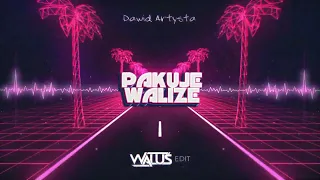 Dawid Artysta - Pakuje walize (WALUŚ EDIT)