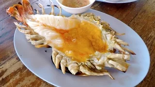 Ayutthaya Trip: Giant River Prawns & Best View in Town! - Thailand Vlog