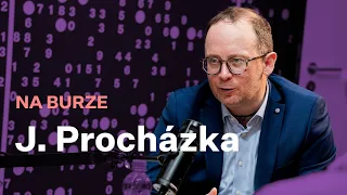 J. Procházka (ČNB): Česká republika nevzkvétá.