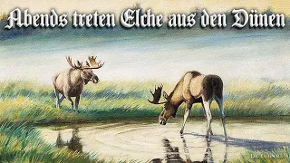 Abends treten Elche aus den Dünen [East Prussian folk song][+English translation]