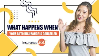 Insurace360 | What Happens When Your Auto Insurance Is Cancelled