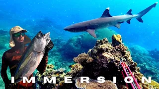 Reef Mission | Hunting Big Fish | Spearfishing Fiji