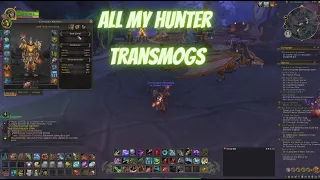 All my Sets and Transmogs l WoW Hunter Dragonflight l Metalista
