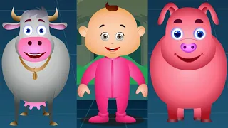 Learn Domestic Animals For Kids & Many More - Kids Learning Videos - JamJammies Nursery Rhymes