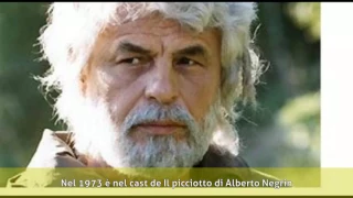 Vittorio Mezzogiorno - Biografia