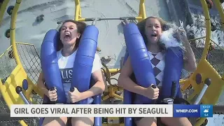 Seagull flies in face of Carbon County teen on amusement park ride
