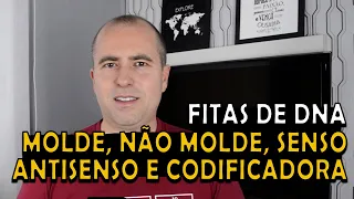 Fita de DNA molde, não molde, senso, antisenso e codificadora. Aprenda a nomear corretamente!