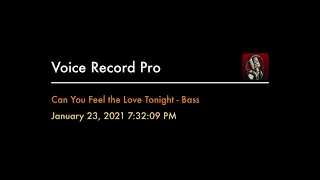 Can You Feel the Love Tonight - Bass