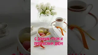 с добрым утром Весны ❤️